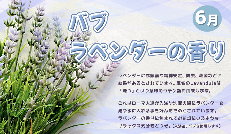 6月のお風呂は、ラベンダーの香りです。